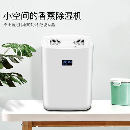 清明過后，潮氣噠噠，怎么除潮？