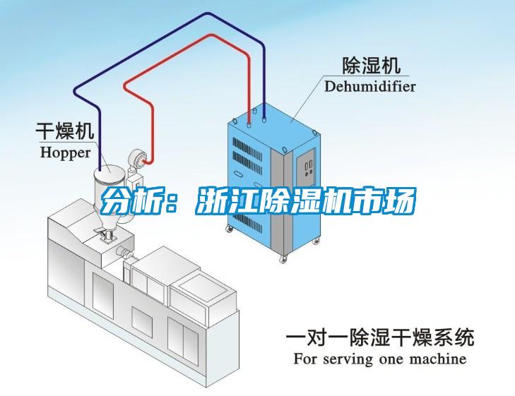 分析：浙江除濕機(jī)市場(chǎng)