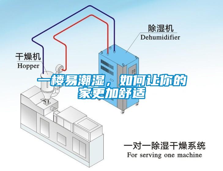 一樓易潮濕，如何讓你的家更加舒適