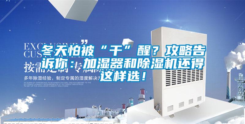 冬天怕被“干”醒？攻略告訴你：加濕器和除濕機還得這樣選！