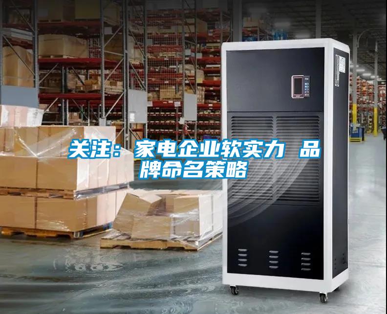 關(guān)注：家電企業(yè)軟實力 品牌命名策略