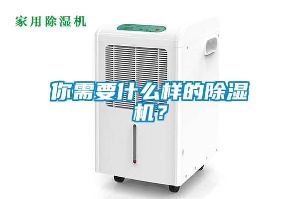 你需要什么樣的除濕機？