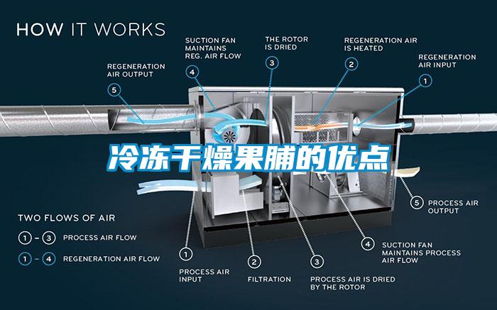 冷凍干燥果脯的優點