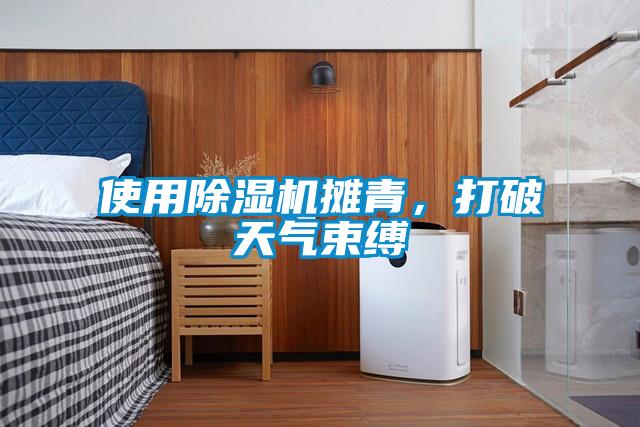 使用除濕機攤青，打破天氣束縛