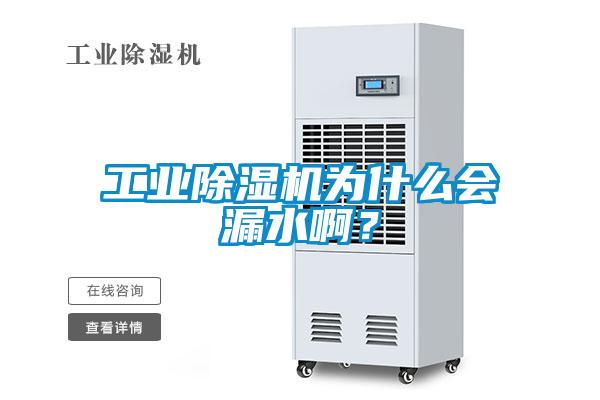 工業除濕機為什么會漏水啊？