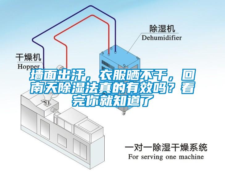 墻面出汗，衣服曬不干，回南天除濕法真的有效嗎？看完你就知道了