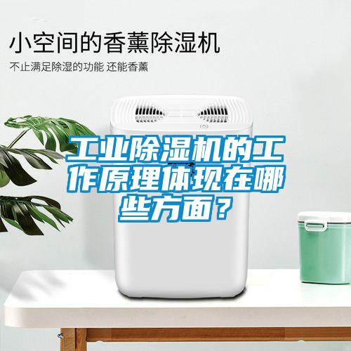 工業除濕機的工作原理體現在哪些方面？