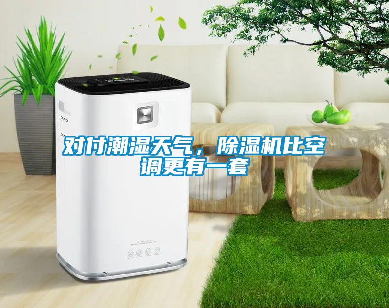 對付潮濕天氣，除濕機比空調更有一套