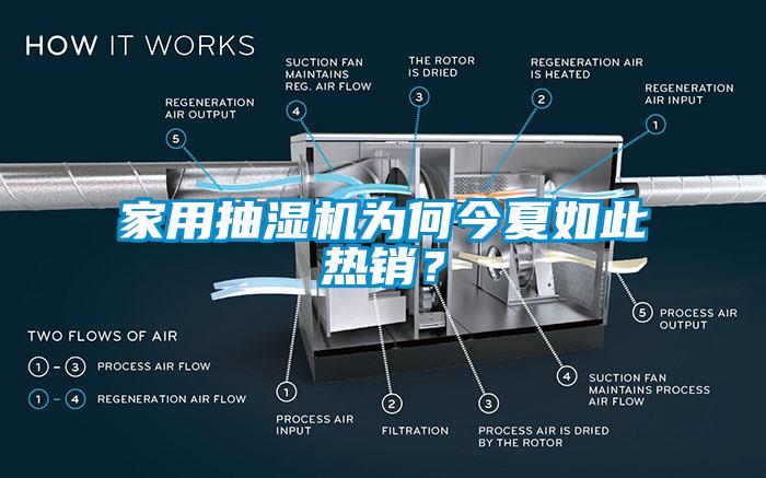 家用抽濕機為何今夏如此熱銷？