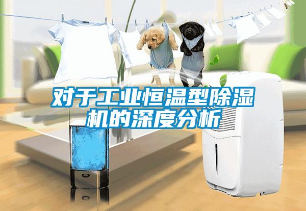 對于工業恒溫型除濕機的深度分析