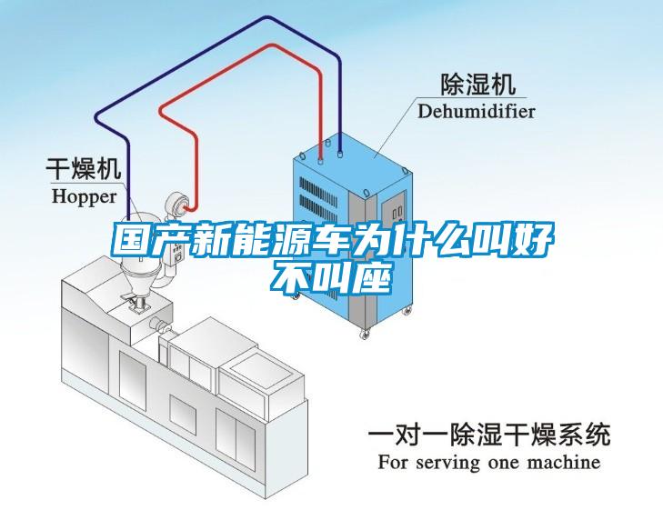 國產新能源車為什么叫好不叫座