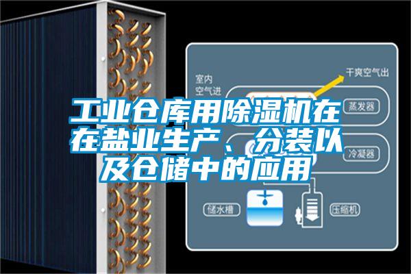 工業倉庫用除濕機在在鹽業生產、分裝以及倉儲中的應用