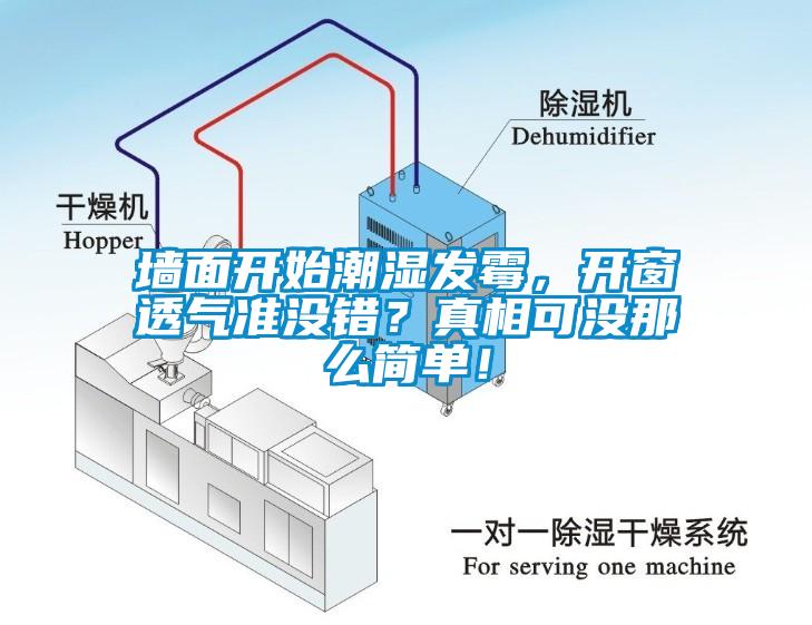 墻面開始潮濕發(fā)霉，開窗透氣準(zhǔn)沒錯？真相可沒那么簡單！