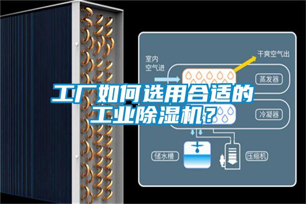 工廠如何選用合適的工業除濕機？