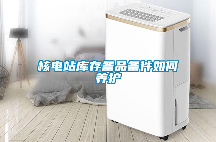 核電站庫存備品備件如何養護