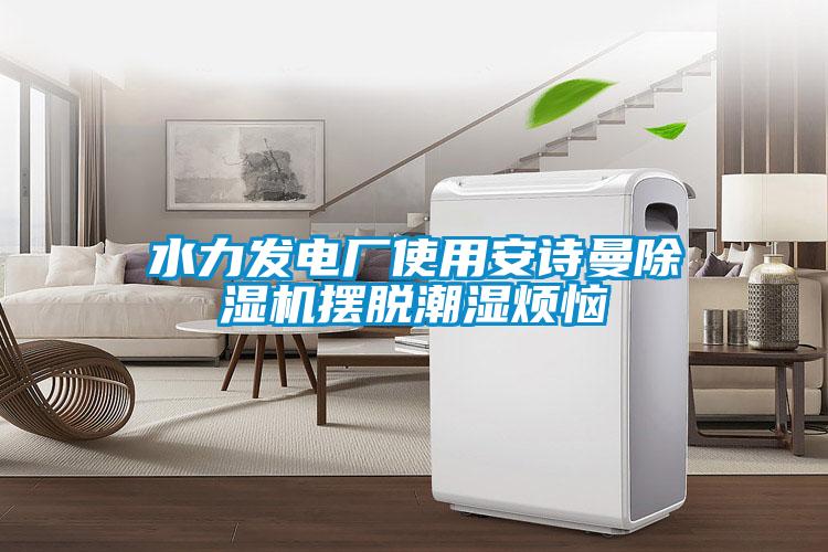 水力發(fā)電廠使用安詩(shī)曼除濕機(jī)擺脫潮濕煩惱