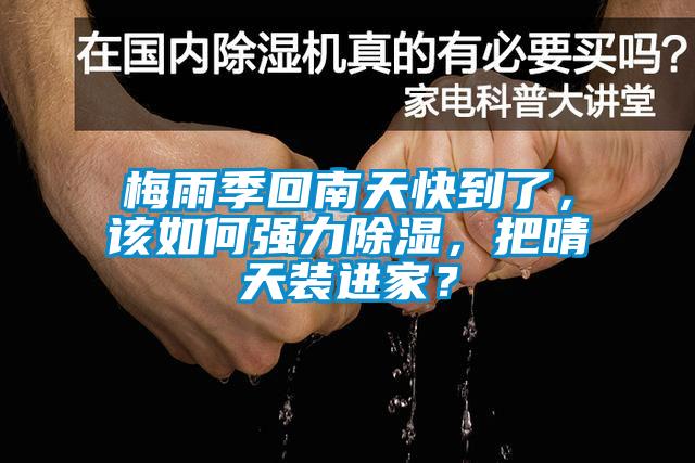 梅雨季回南天快到了，該如何強力除濕，把晴天裝進家？