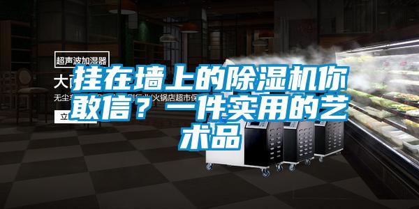 掛在墻上的除濕機你敢信？一件實用的藝術(shù)品