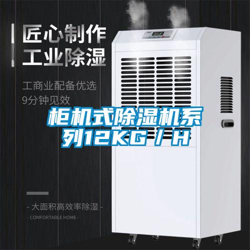 柜機式除濕機系列12KG／H