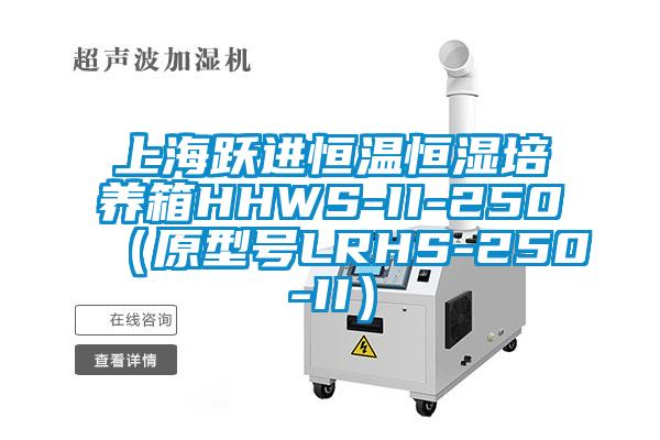 上海躍進恒溫恒濕培養箱HHWS-II-250（原型號LRHS-250-II）