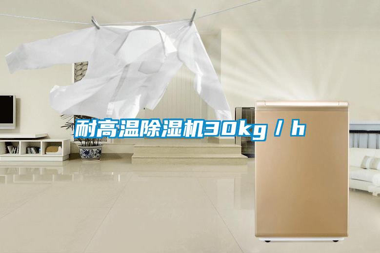 耐高溫除濕機30kg／h