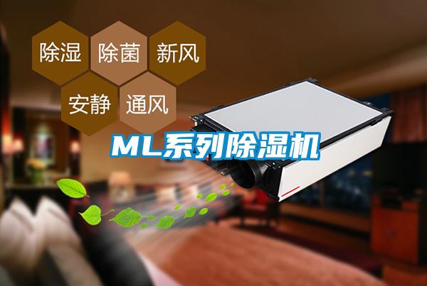 ML系列除濕機(jī)