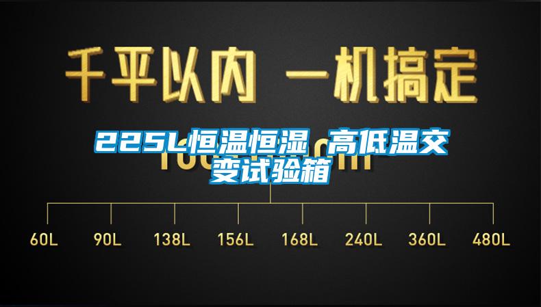 225L恒溫恒濕 高低溫交變試驗箱