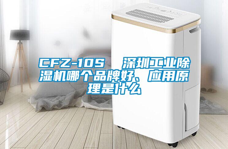 CFZ-10S  深圳工業除濕機哪個品牌好、應用原理是什么