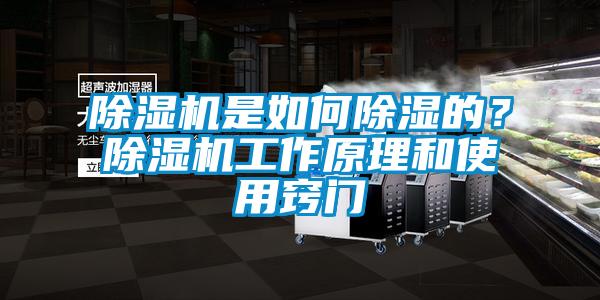 除濕機是如何除濕的？除濕機工作原理和使用竅門