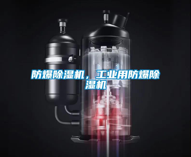 防爆除濕機，工業(yè)用防爆除濕機