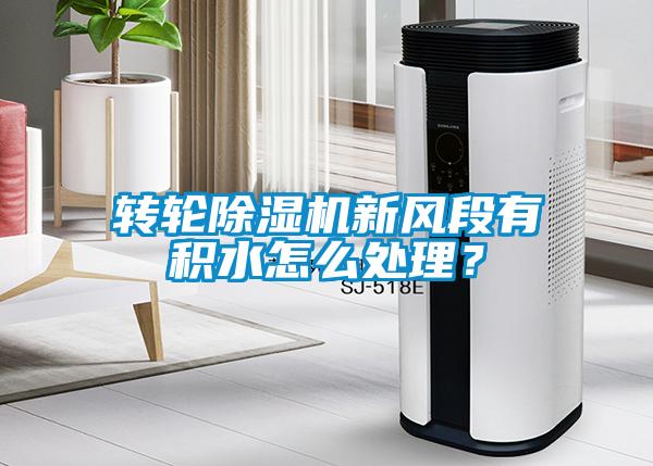 轉輪除濕機新風段有積水怎么處理？