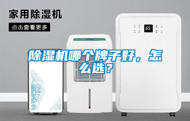 除濕機哪個牌子好，怎么選？