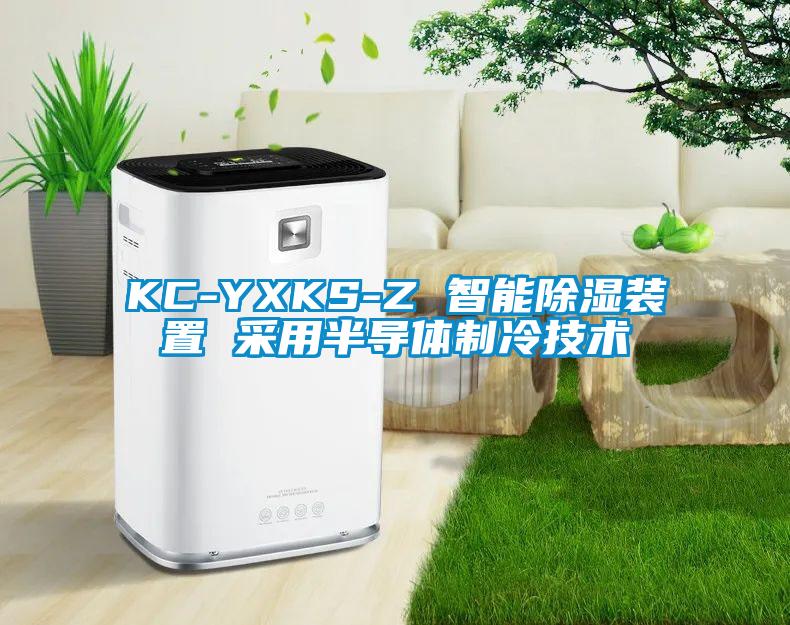 KC-YXKS-Z 智能除濕裝置 采用半導體制冷技術