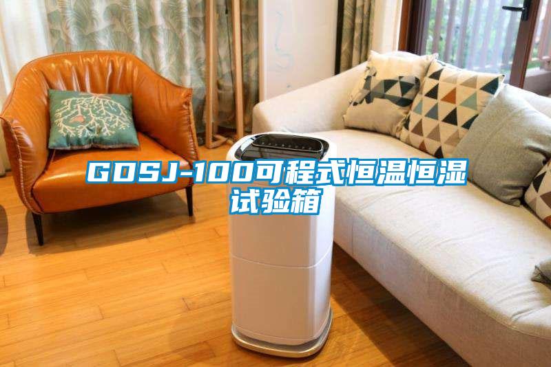 GDSJ-100可程式恒溫恒濕試驗箱