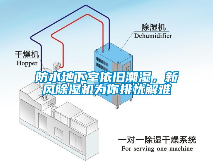 防水地下室依舊潮濕，新風除濕機為你排憂解難