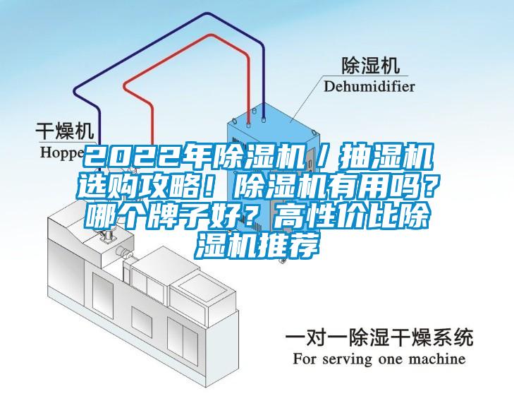 2022年除濕機／抽濕機選購攻略！除濕機有用嗎？哪個牌子好？高性價比除濕機推薦