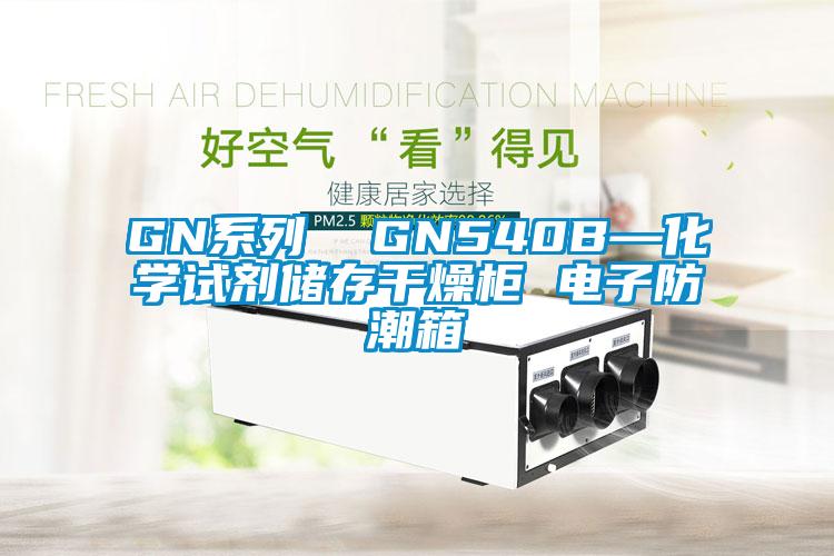 GN系列  GN540B—化學(xué)試劑儲存干燥柜 電子防潮箱