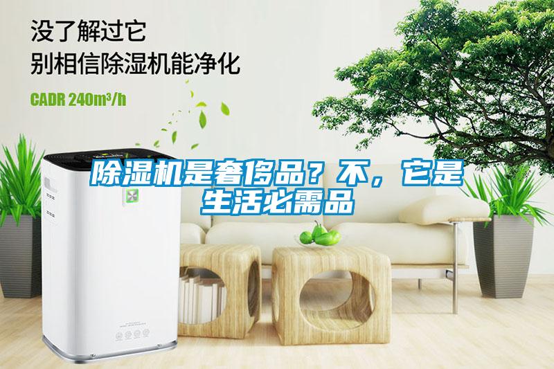 除濕機是奢侈品？不，它是生活必需品