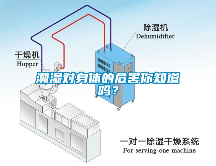 潮濕對身體的危害你知道嗎？