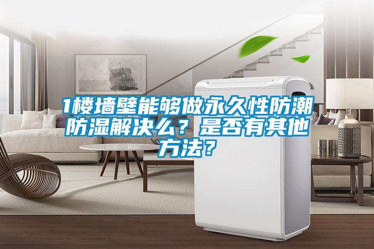 1樓墻壁能夠做永久性防潮防濕解決么？是否有其他方法？