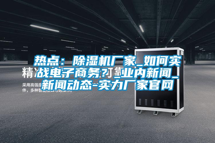 熱點：除濕機廠家_如何實戰電子商務？_業內新聞_新聞動態-實力廠家官網