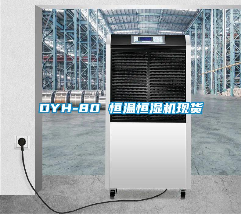 DYH-80 恒溫恒濕機現貨