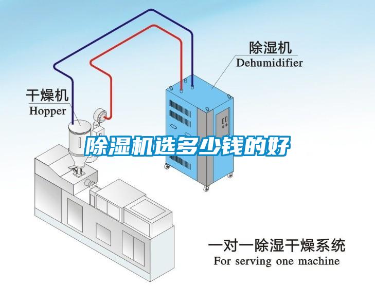 除濕機(jī)選多少錢的好