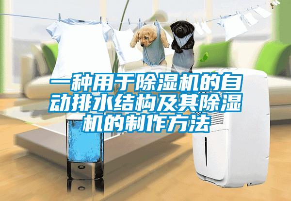 一種用于除濕機的自動排水結構及其除濕機的制作方法