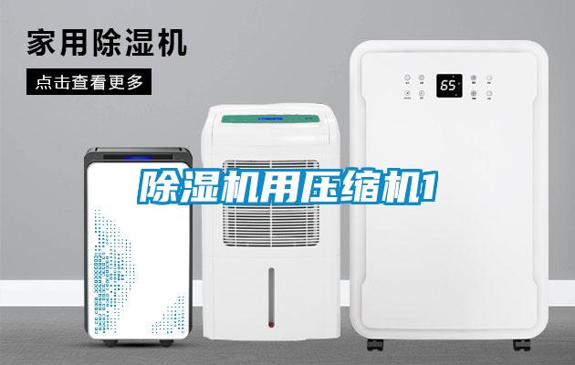 除濕機用壓縮機1