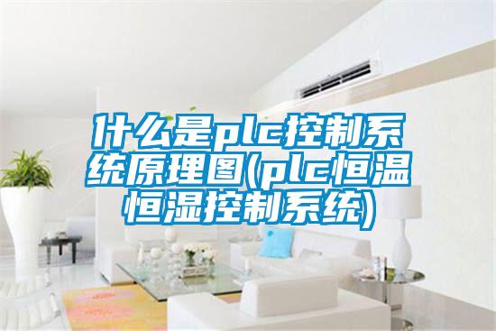 什么是plc控制系統原理圖(plc恒溫恒濕控制系統)