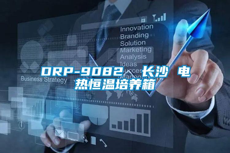 DRP-9082  長沙 電熱恒溫培養箱