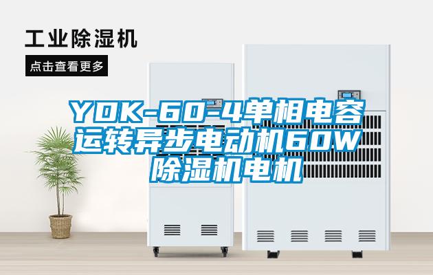 YDK-60-4單相電容運轉異步電動機60W 除濕機電機