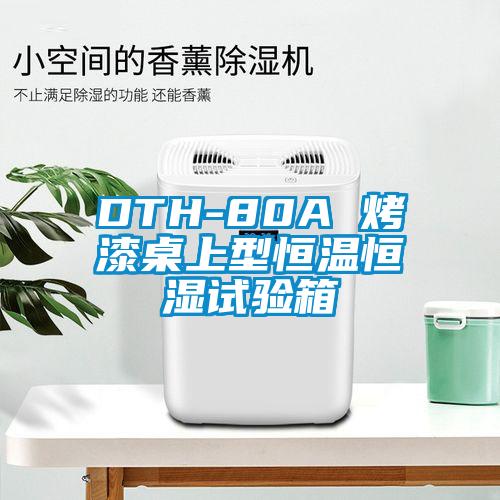 DTH-80A 烤漆桌上型恒溫恒濕試驗箱