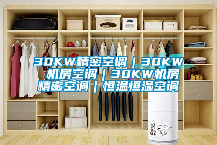 30KW精密空調｜30KW 機房空調｜30KW機房精密空調｜恒溫恒濕空調